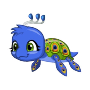 Peako the Turtle